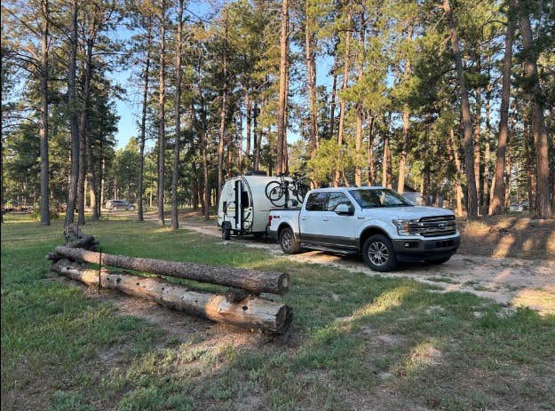Camper submitted image from 3 Wooded Acres in Black Forest - 1