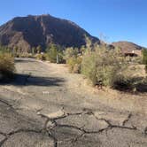 Review photo of Borrego Palm Canyon Campground — Anza-Borrego Desert State Park by syl D., October 6, 2025
