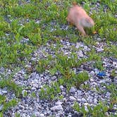 Review photo of Osage Cove - Kaw Lake by Melanie W., September 23, 2016