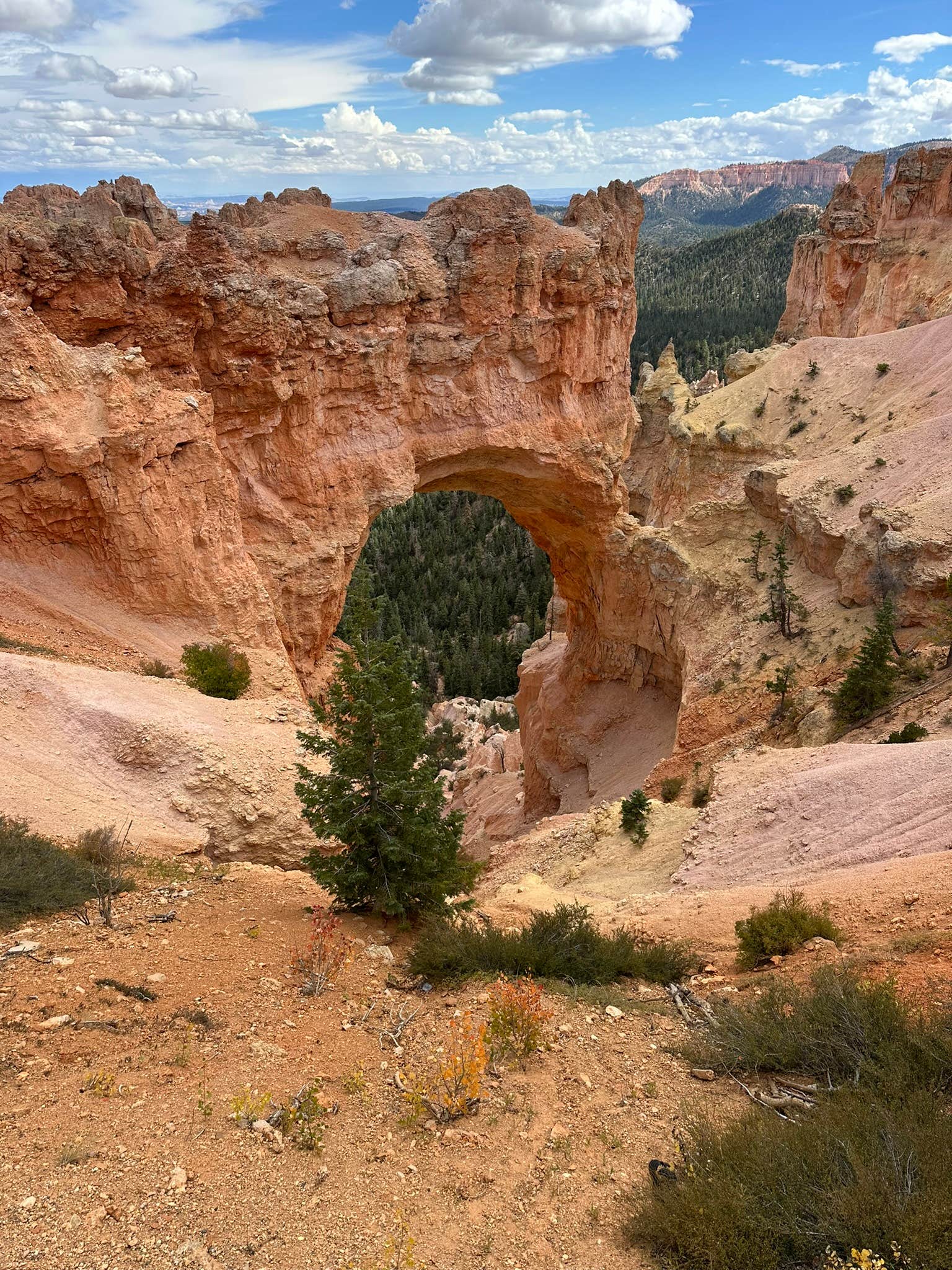 Camper submitted image from East Zion RV Park - 1