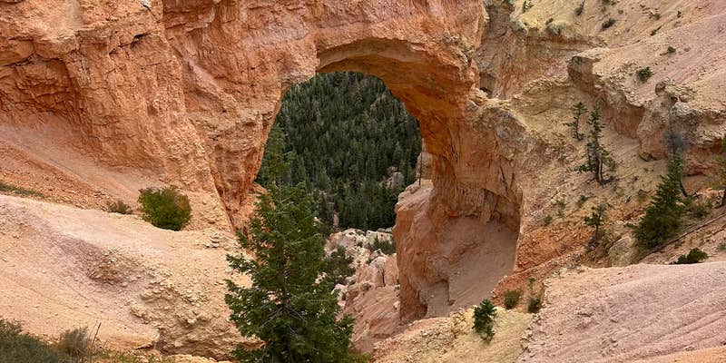 Camper submitted image from East Zion RV Park