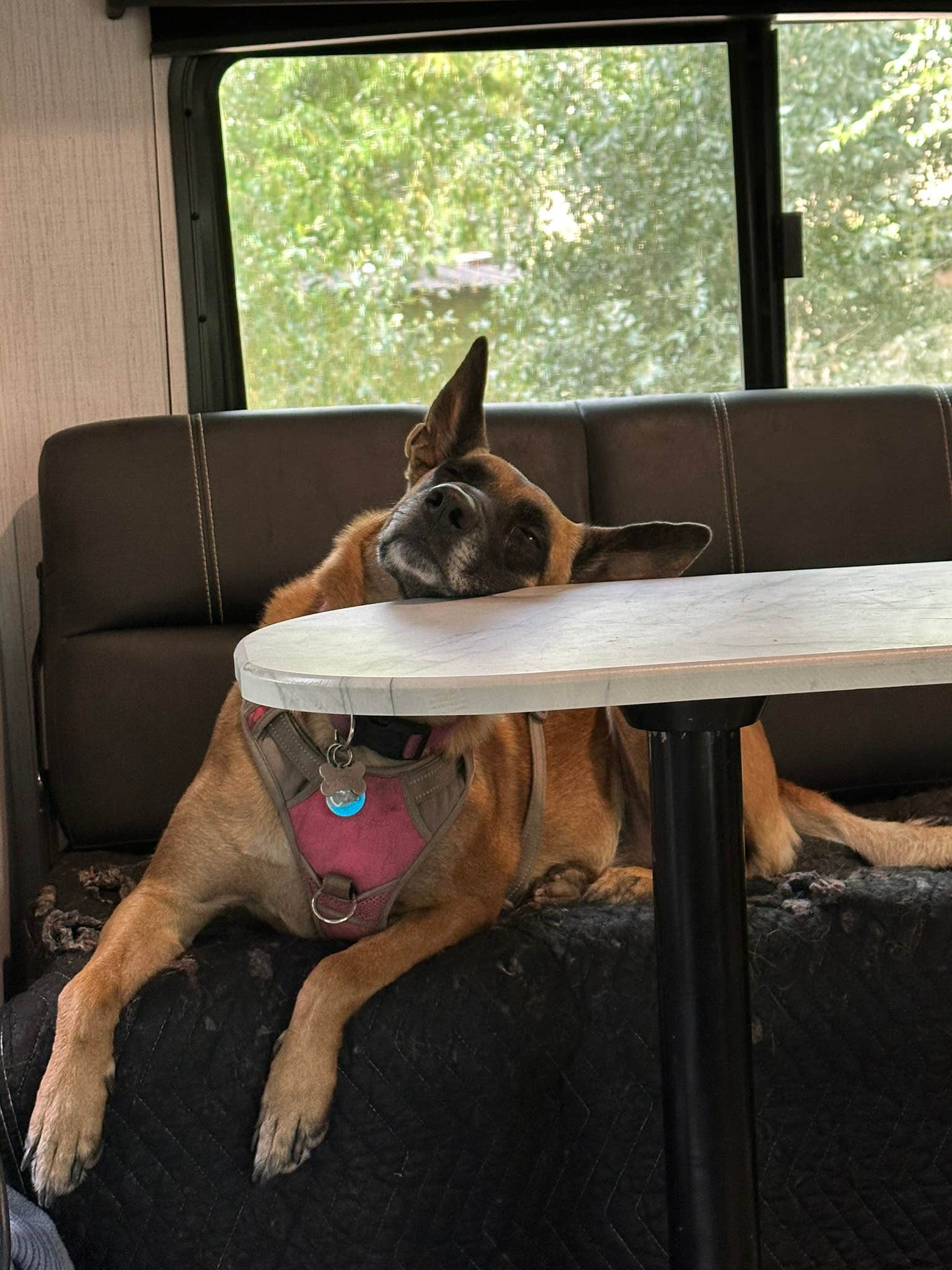 Camper-submitted photo at East Zion RV Park near Alton, UT