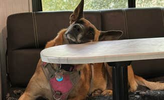 Mike M.'s photo of camping with pets at East Zion RV Park near Kanab, UT