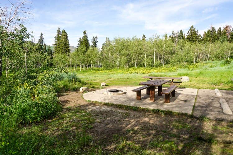 Alexa A.'s photo of camping with pets at Payson Lakes Campground near Payson, UT