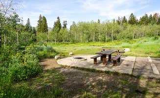 Alexa A.'s photo of camping with pets at Payson Lakes Campground near Santaquin, UT