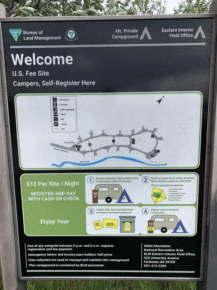 Camping near Cripple Creek Campground: Mount Prindle Campground, Badger, Alaska