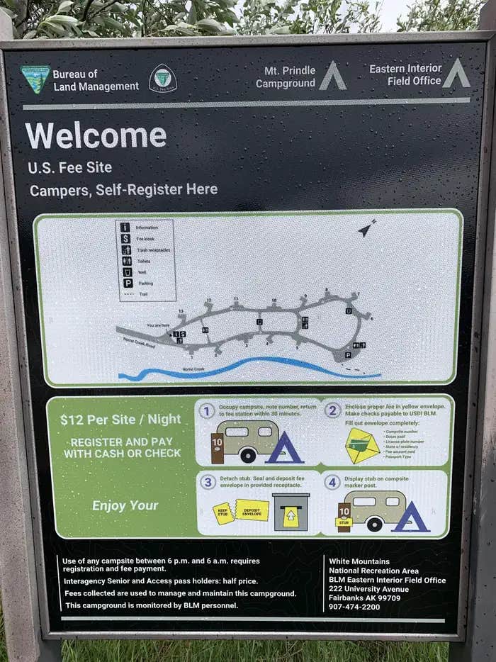 Camper submitted image from Mount Prindle Campground - 1