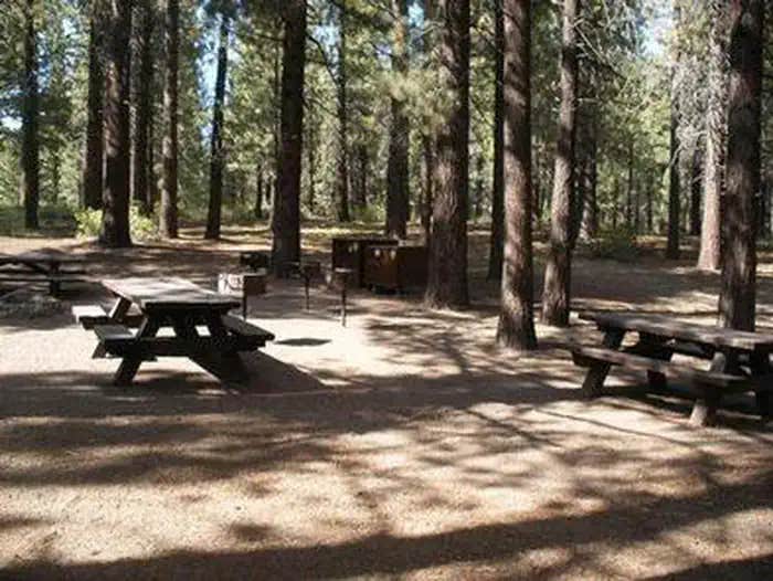Camper submitted image from Pine Glen - 1