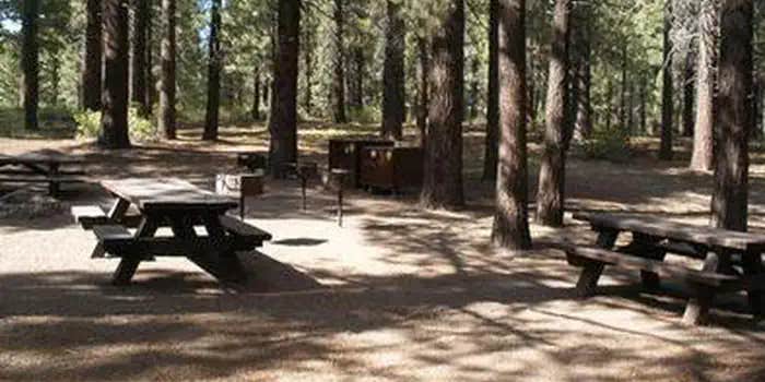 Camper submitted image from Pine Glen