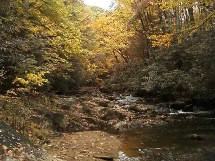 Camper submitted image from Dennis Cove Campground - 1