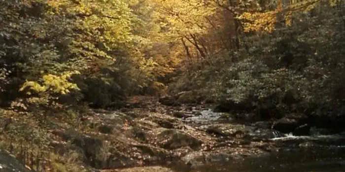 Camper submitted image from Dennis Cove Campground