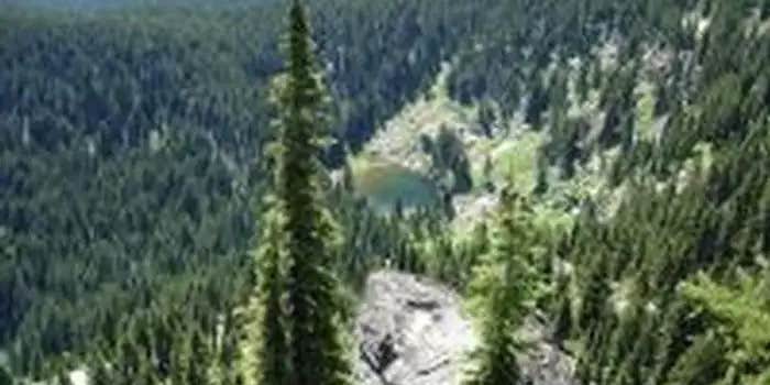 Camper submitted image from Cold Springs Peak Cabin - Clearwater Nf (ID)