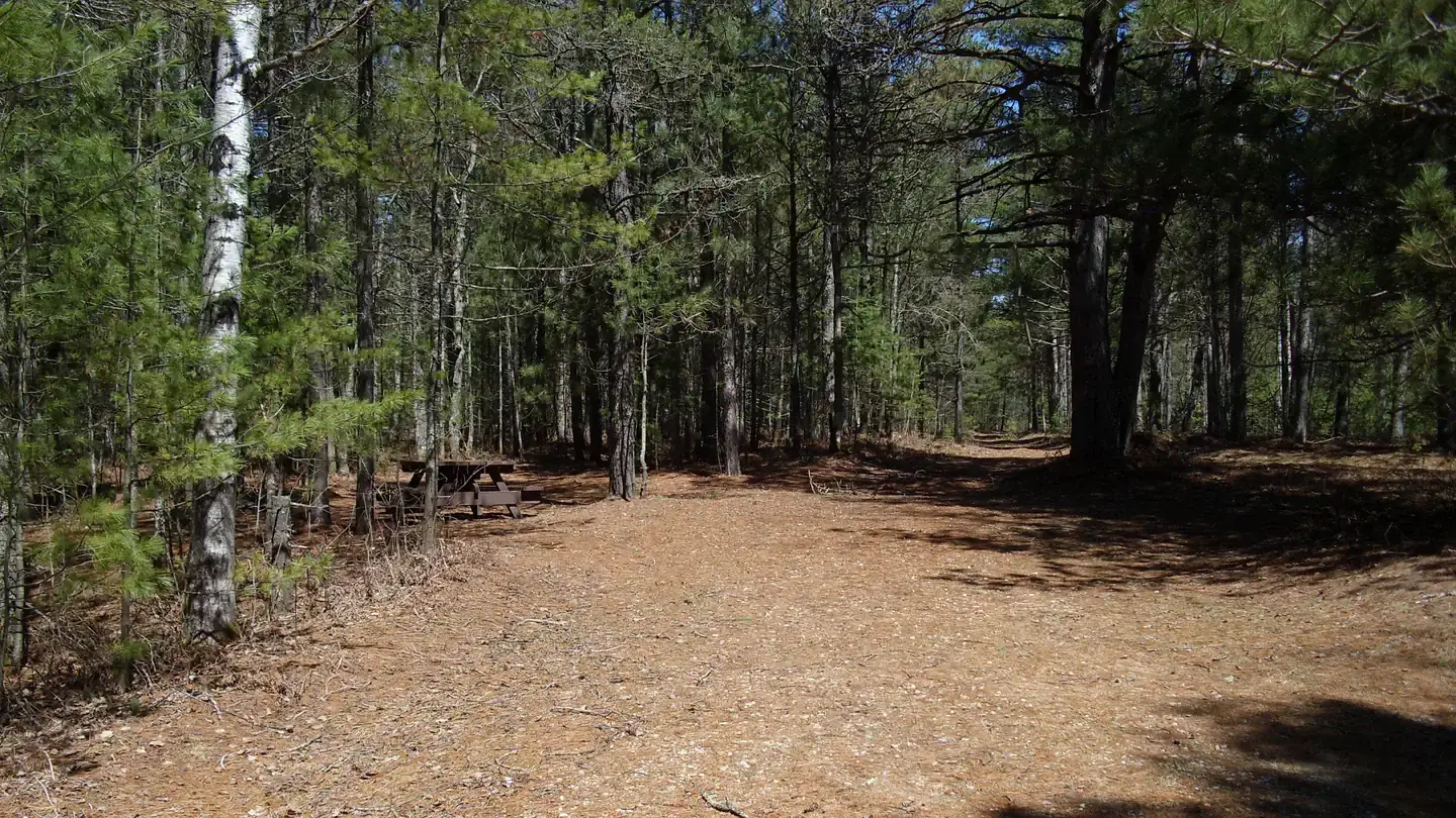 Camping near Mckeever Cabin: Island Lake, Wetmore, Michigan