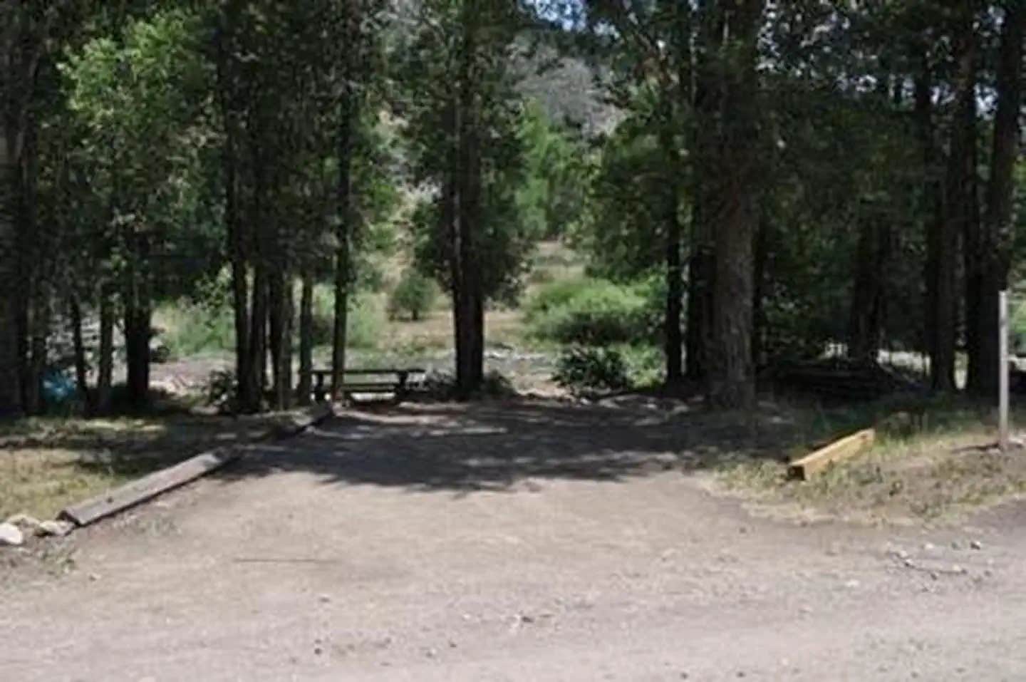 Camper submitted image from Dearhamer Campground - 1