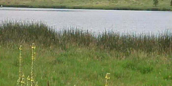 Camper submitted image from Pinon - Quemado Lake