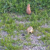 Review photo of Osage Cove - Kaw Lake by Melanie W., September 23, 2016