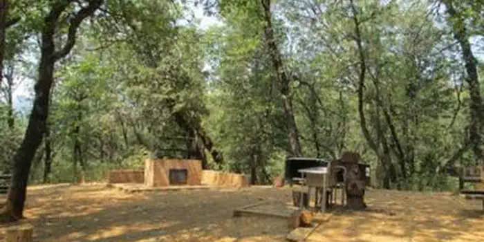 Camper submitted image from Hirz Bay Group 2 — Shasta Trinity National Forest