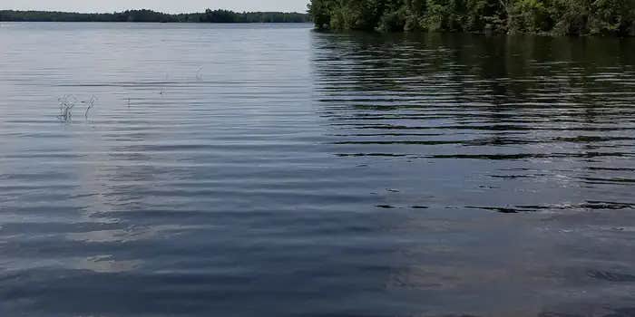 Camper submitted image from Moose Lake