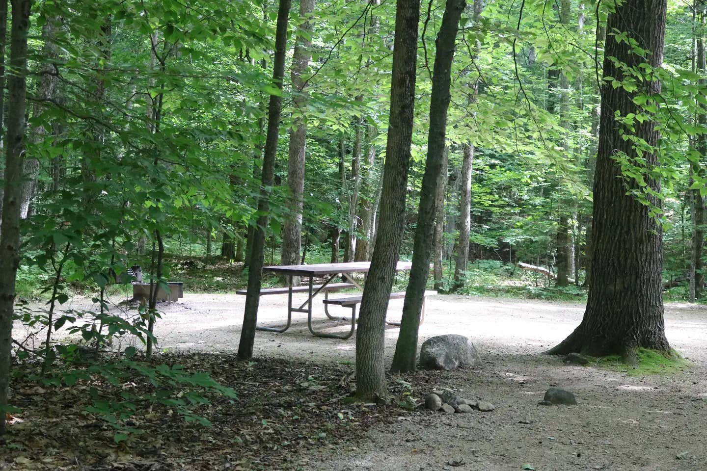 Camper submitted image from Covered Bridge - 1