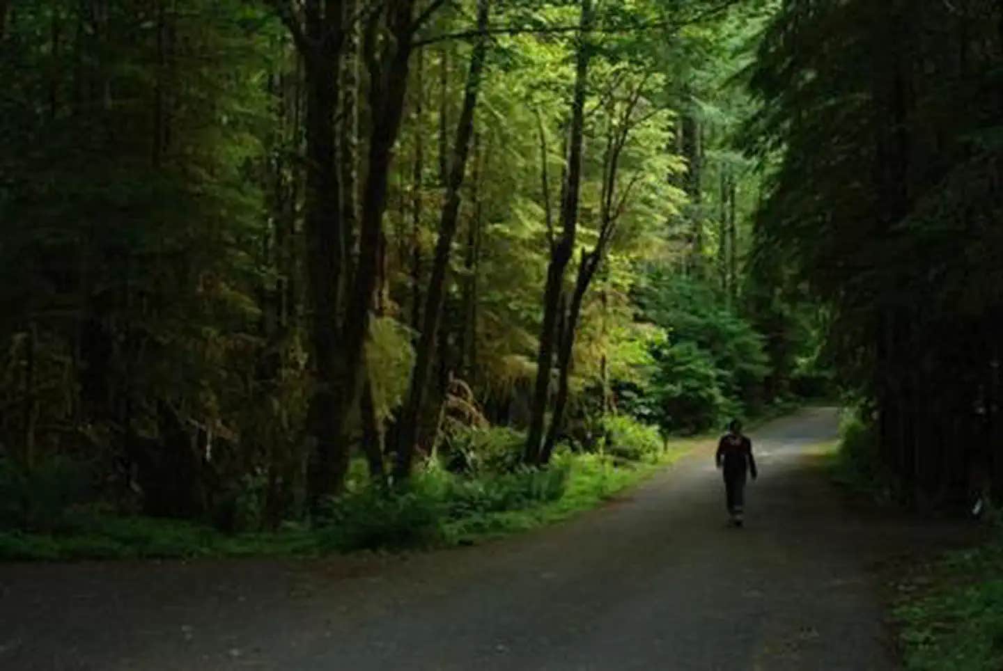 Camper submitted image from Iron Creek Campground - 1