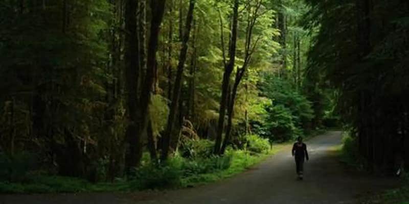 Camper submitted image from Iron Creek Campground