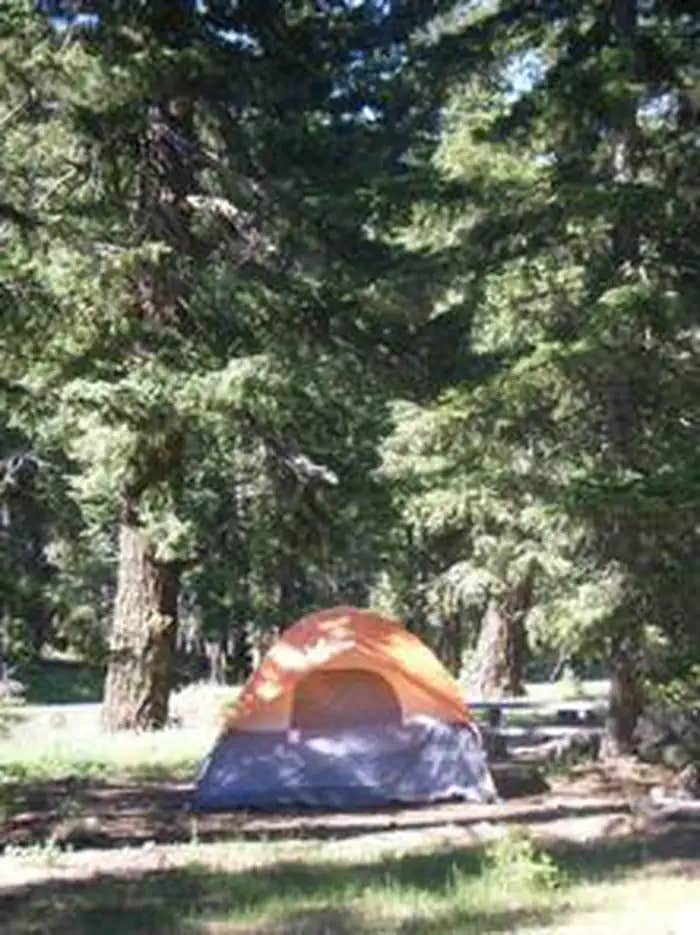 Camper submitted image from Soda Springs - 1