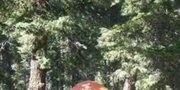 Camper submitted image from Soda Springs