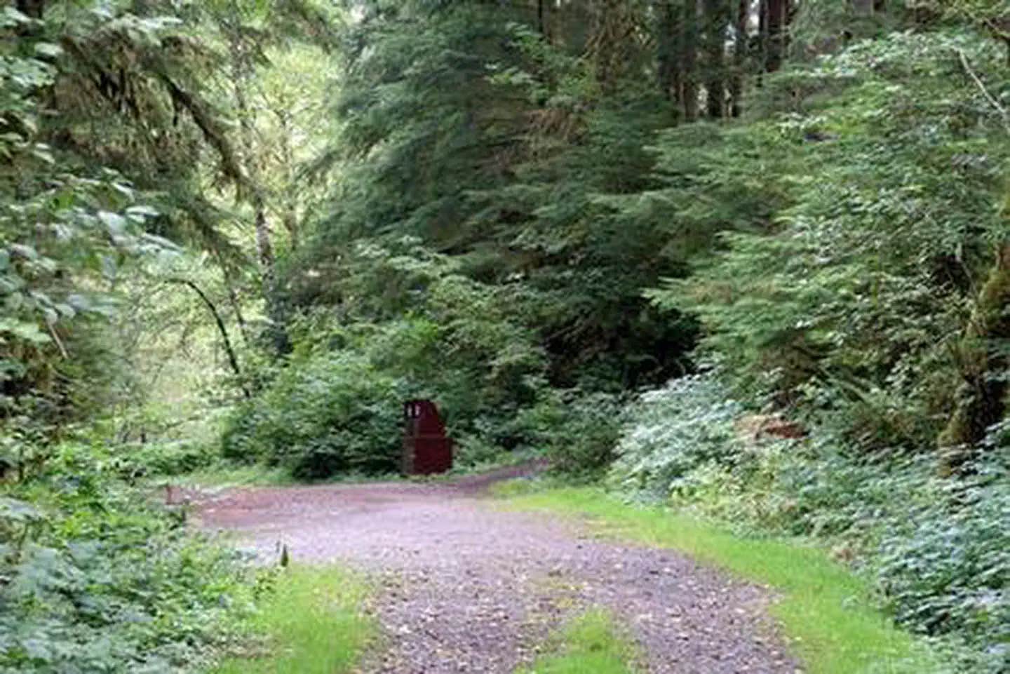 Camper submitted image from Esswine Group Camp - 1