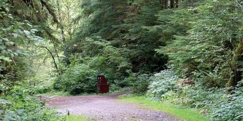 Camper submitted image from Esswine Group Camp