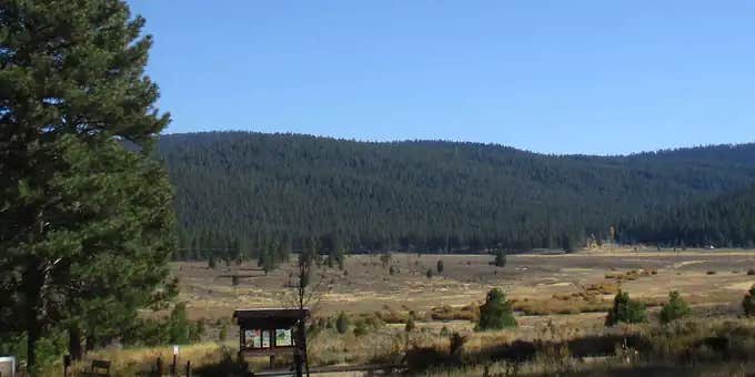 Camper submitted image from Alpine Meadow Campground