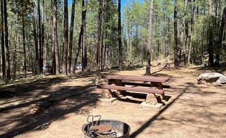 The Dyrt's photo at Upper Tonto Creek — Tonto National Forest near Sun Valley, AZ