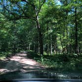 Review photo of Shelley Lake Campground by Art S., August 3, 2019