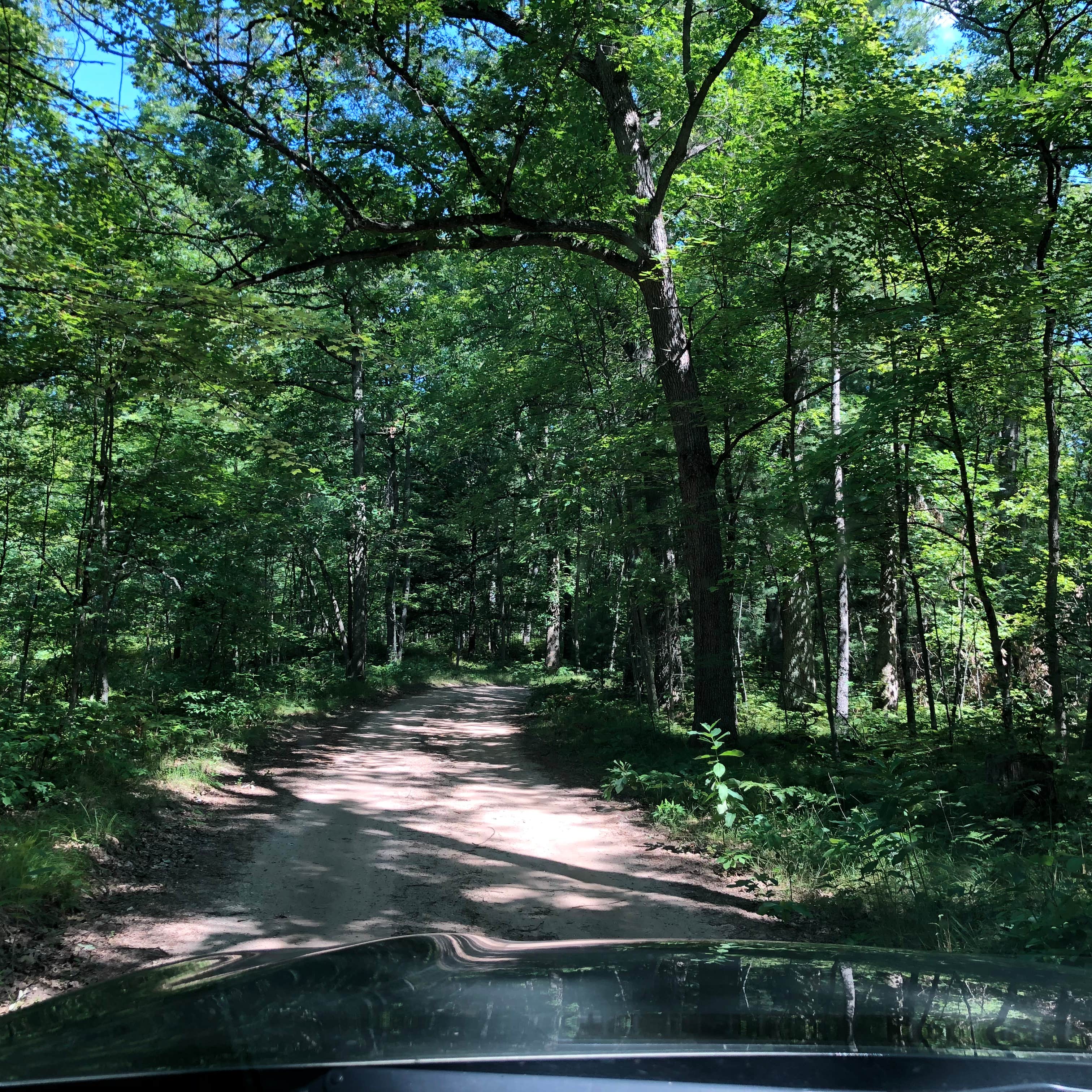 Escape To Serenity: Your Guide To Shelley Lake Campground In Michigan