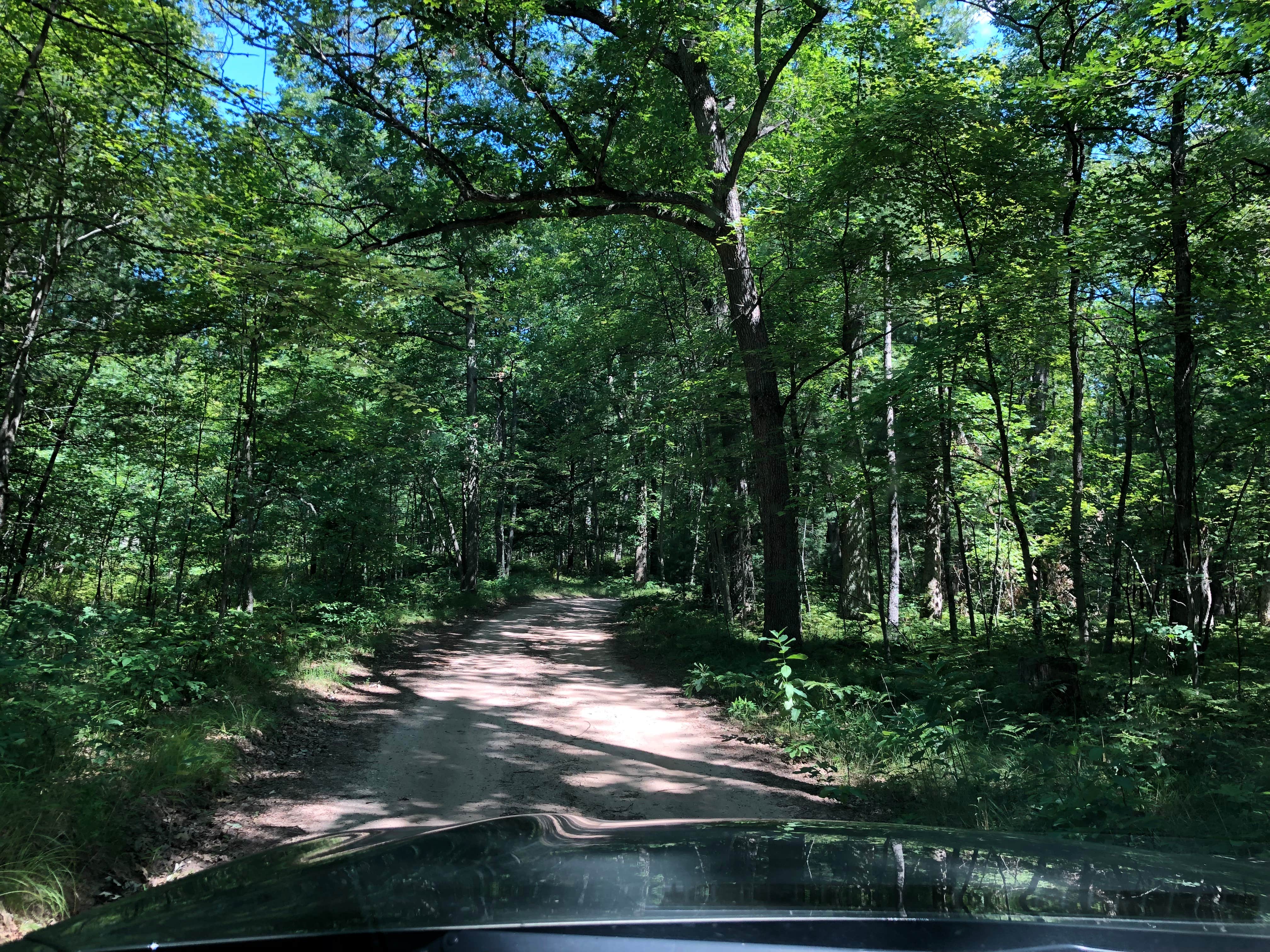 Camper submitted image from Shelley Lake Campground - 5