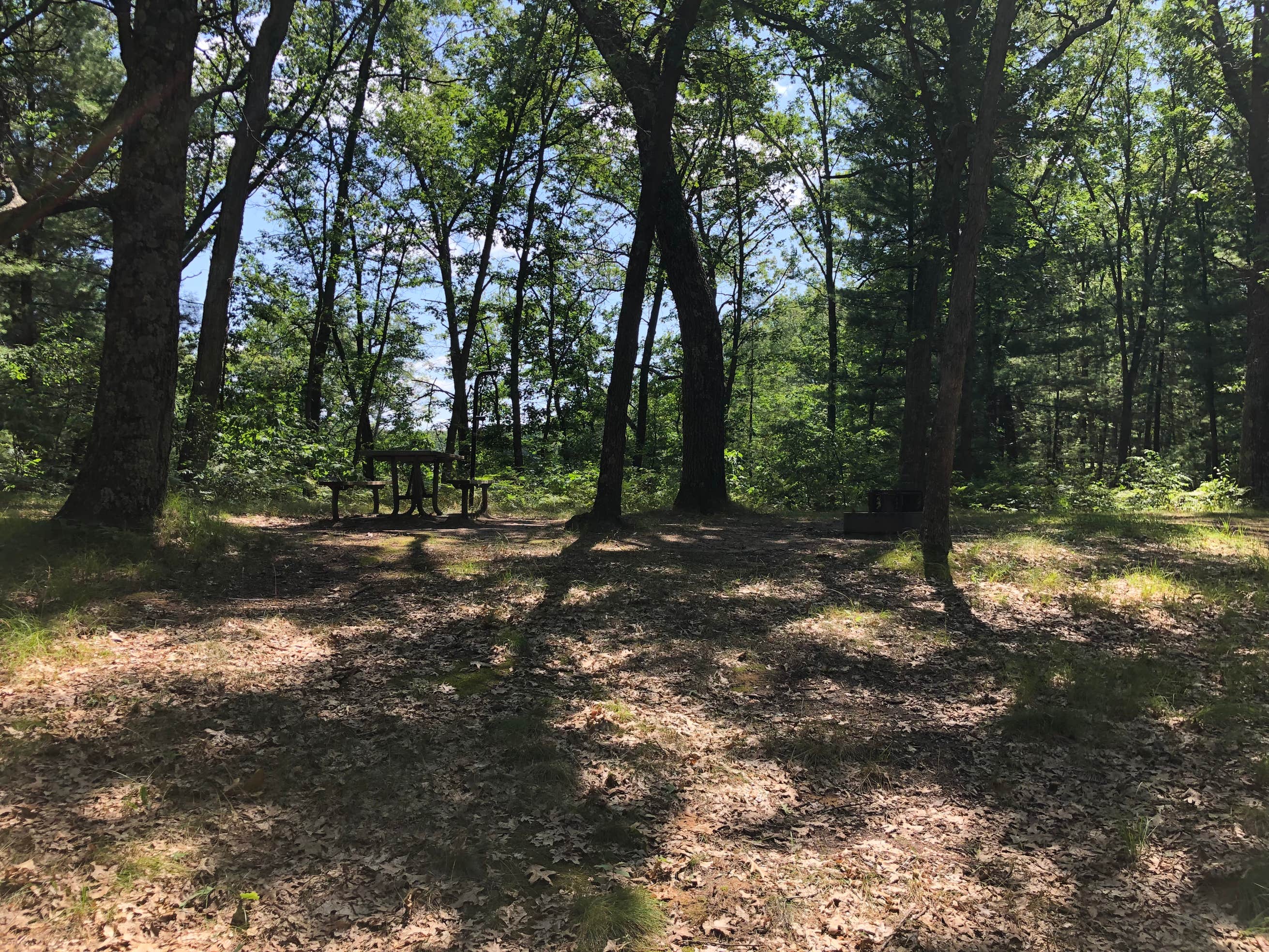 Shelley Lake Campground Camping The Dyrt