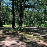 Review photo of Shelley Lake Campground by Art S., August 3, 2019