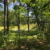 Review photo of Shelley Lake Campground by Art S., August 3, 2019