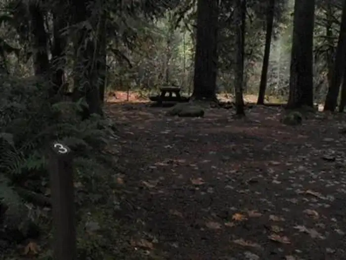 Camping near Cougar Crossing Campground — Willamette National Forest: French Pete Campground, Mckenzie Bridge, Oregon
