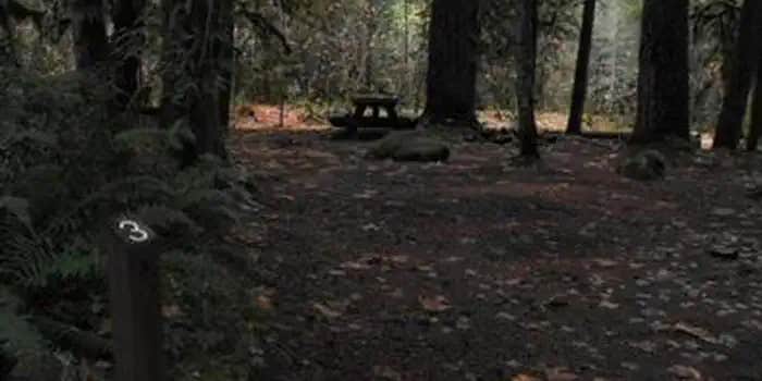 Camper submitted image from French Pete Campground