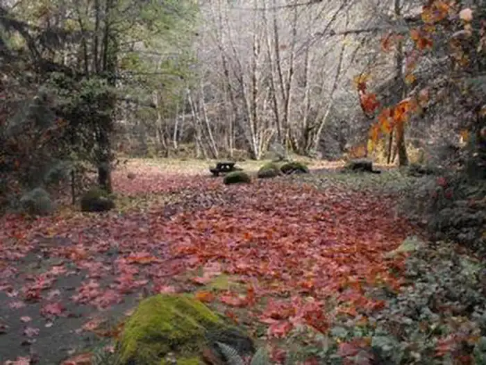 Camper-submitted photo at French Pete Campground near Deschutes National Forest