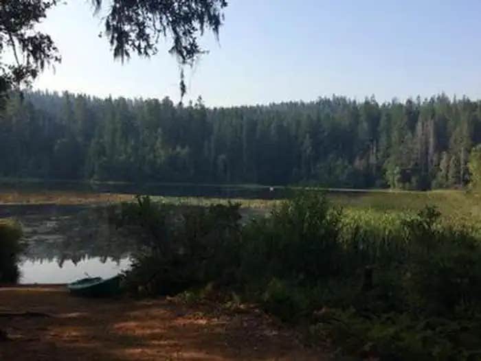 Camper submitted image from Fish Lake Campground - 1
