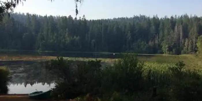 Camper submitted image from Fish Lake Campground