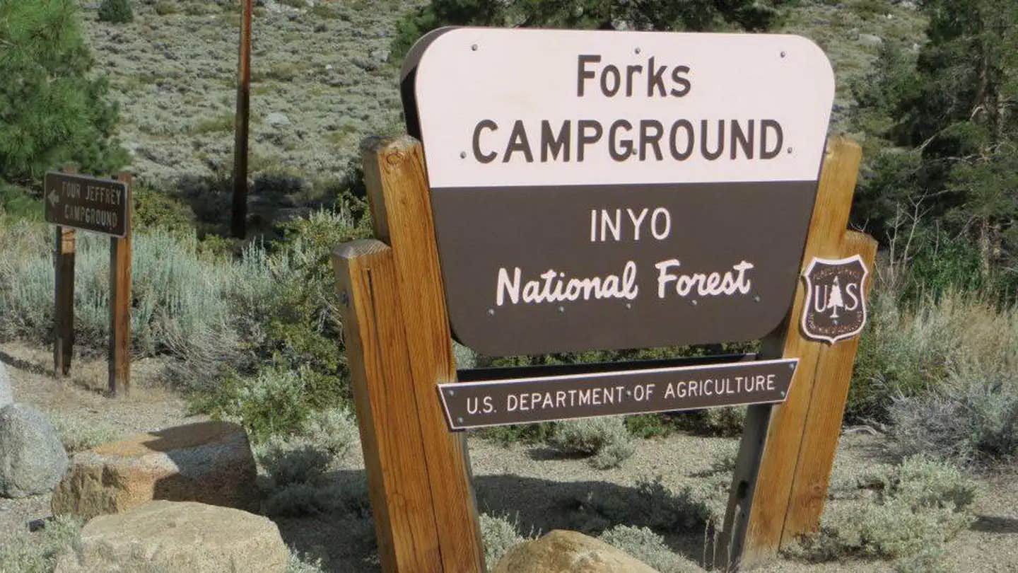 Camper submitted image from Forks Campground (Inyo) — Inyo National Forest - 1