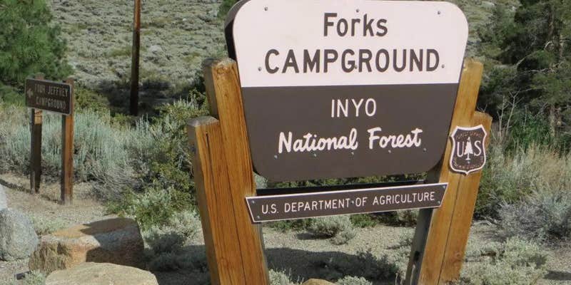 Camper submitted image from Forks Campground (Inyo) — Inyo National Forest