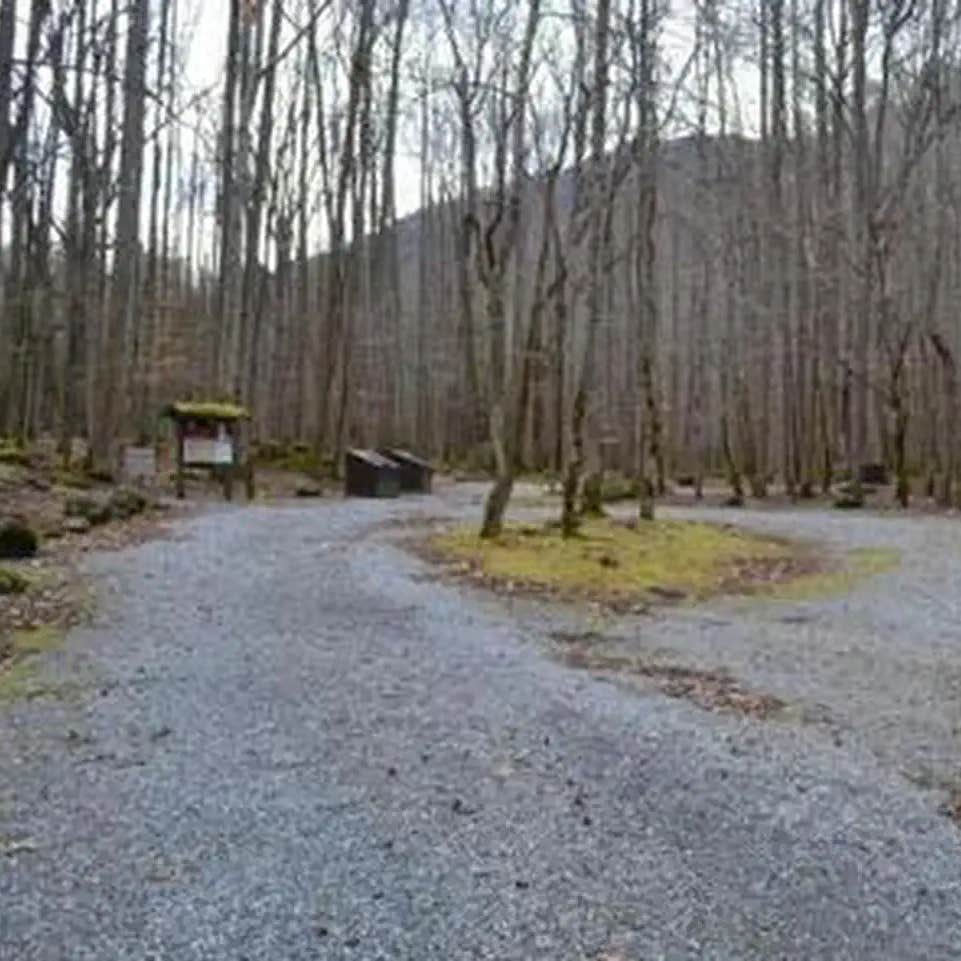 Big Creek Campground — Great Smoky Mountains National Park