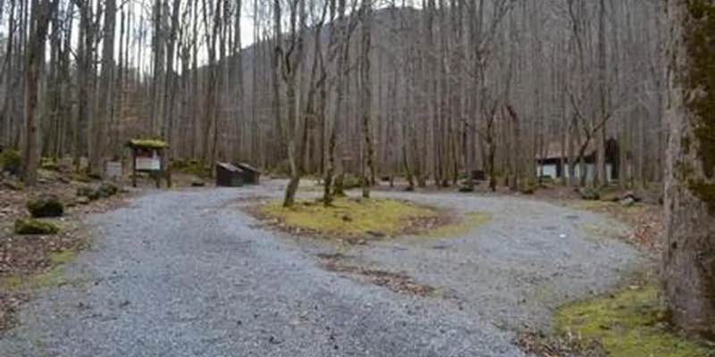 Camper submitted image from Big Creek Campground — Great Smoky Mountains National Park