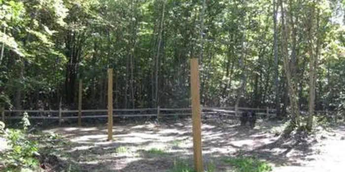 Camper submitted image from Hungerford Equestrian Group Campsite