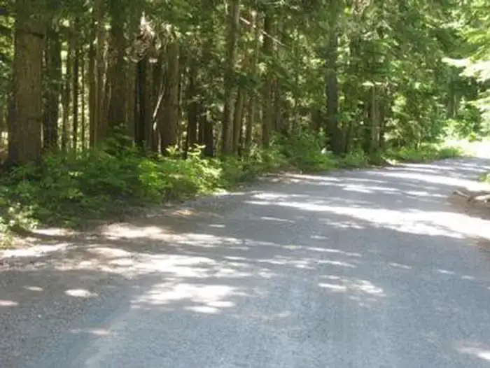 Camping near Snow Bunny Snow Park: Still Creek, Government Camp, Oregon