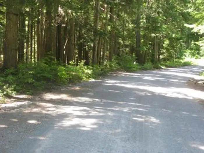 Camper submitted image from Still Creek - 1