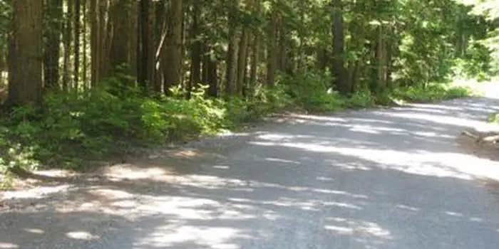 Camper submitted image from Still Creek